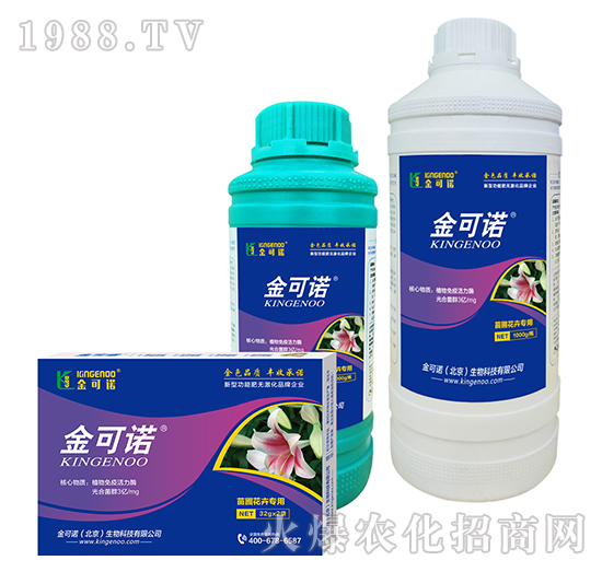 ���Ի��܌���-����Z