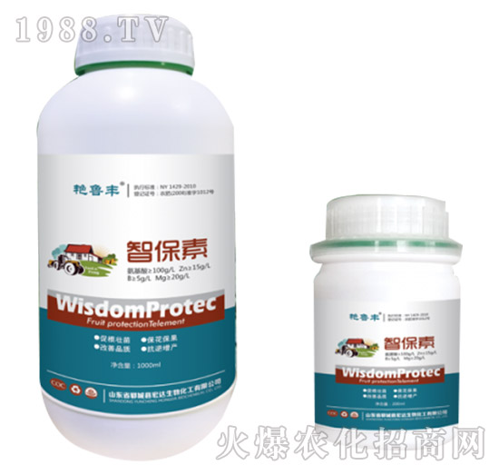 �Ǳ���-�G���S-���_(d��)����