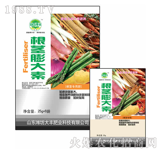 25g���o�����-��@���S-���S�ʘI(y��)