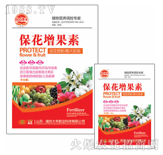 25g����������-��@���S-���S�ʘI(y��)