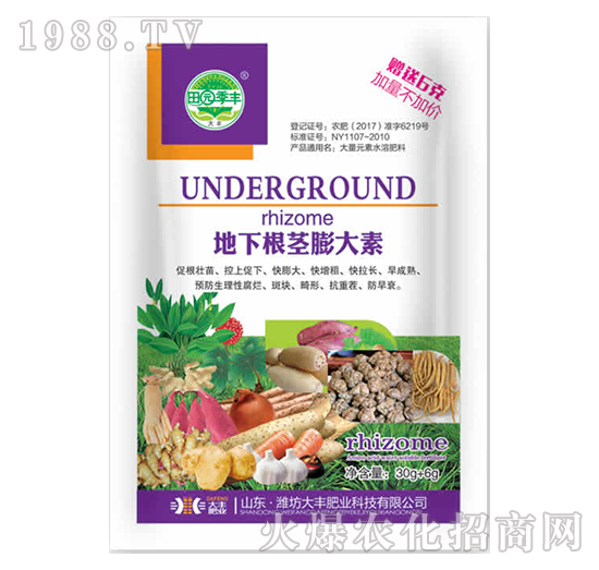 ���¸��o�����-��@���S-���S�ʘI(y��)