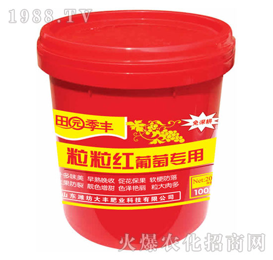 ���ь�(zhu��n)�������t-��@���S-���S�ʘI(y��)