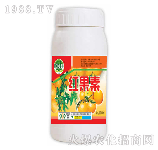 �t����-��@���S-���S�ʘI(y��)