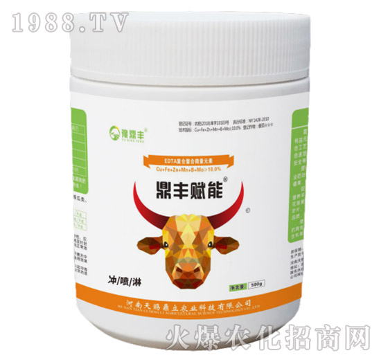 鼎豐賦能-天賜鼎立