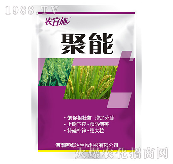 ����-�r��ʩ-��ķ�_