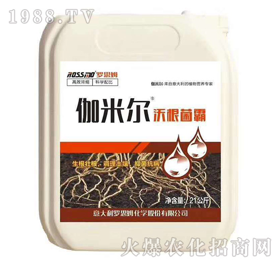 沃根菌霸-伽米爾-木禾佳寶