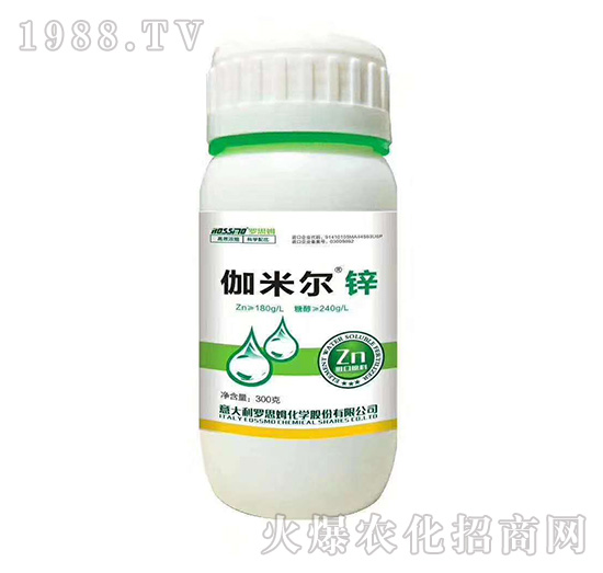 伽米爾鋅-羅思姆-木禾佳寶