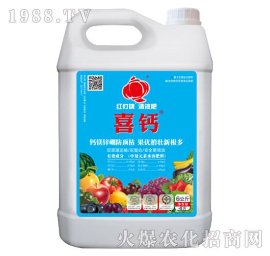 喜鈣（壺）-樂多收