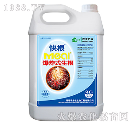 快根-樂(lè)多收