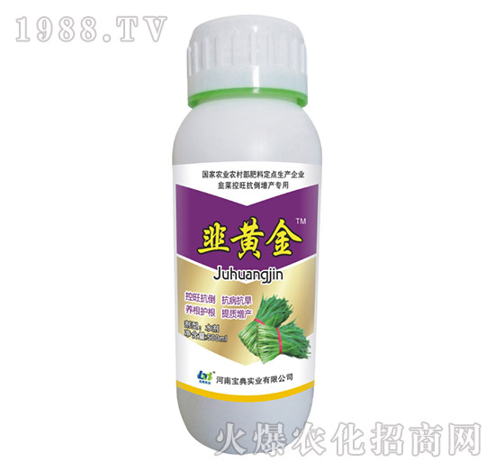 500ml���S��-���䌍�I(y��)