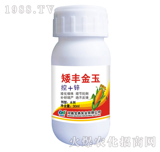 矮豐金玉-寶典實業(yè)