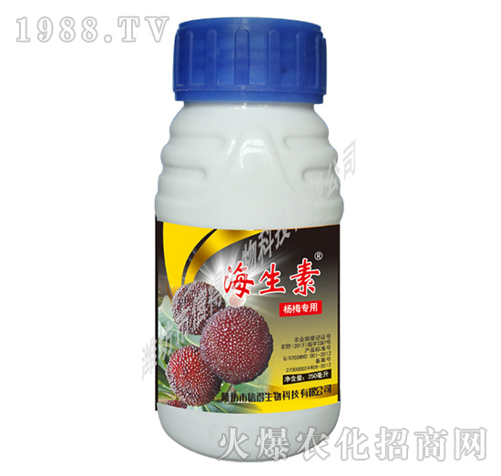 ��÷����-������-�ŵ�