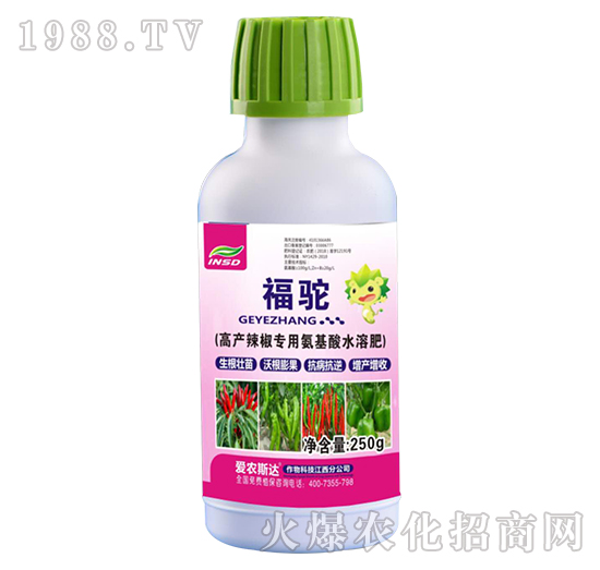 高產(chǎn)辣椒專用氨基酸水溶肥-福駝-愛農(nóng)斯達(dá)