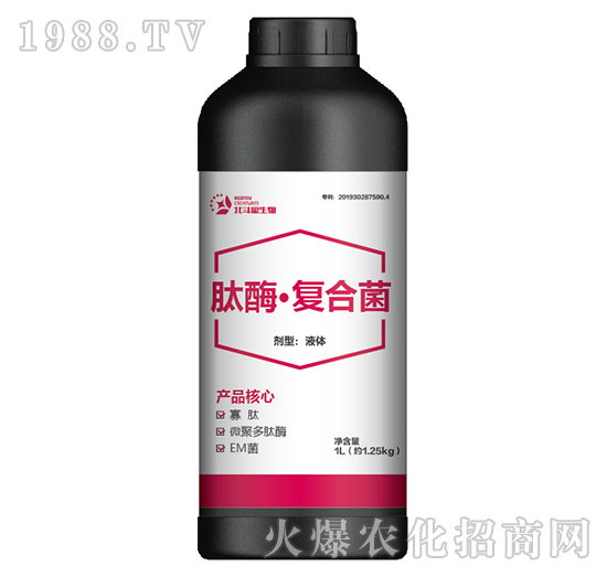 肽酶·復合菌-北斗星