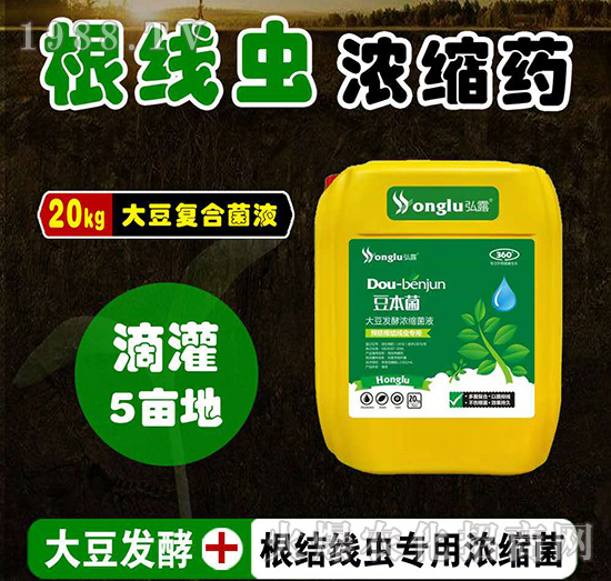 �A(y��)�����Y(ji��)���x(ch��ng)��(zhu��n)�ô󶹰l(f��)�͝�s��Һ-������-���r(n��ng)��¶