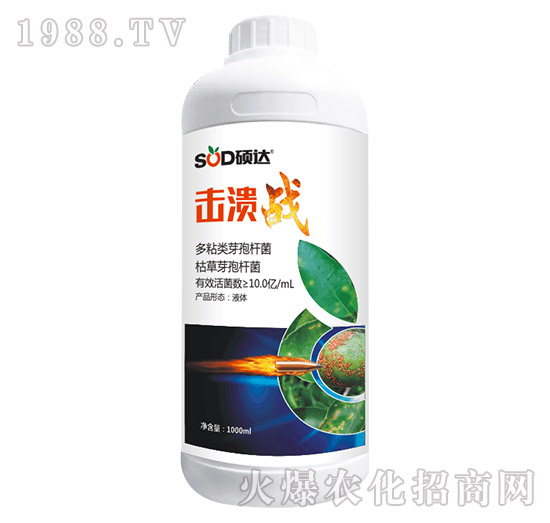 擊潰戰(zhàn)-碩達(dá)