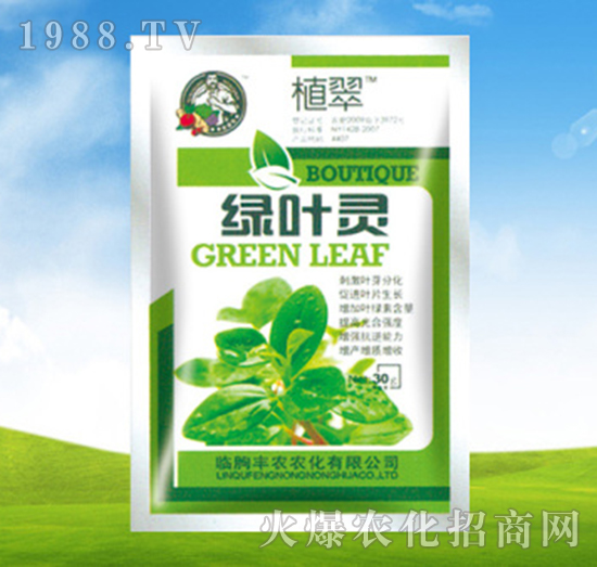 �G�~�`-ֲ��-�S�r(n��ng)�r(n��ng)��