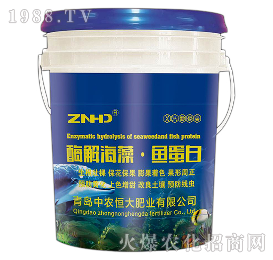 酶解海藻·魚蛋白-中農(nóng)恒大