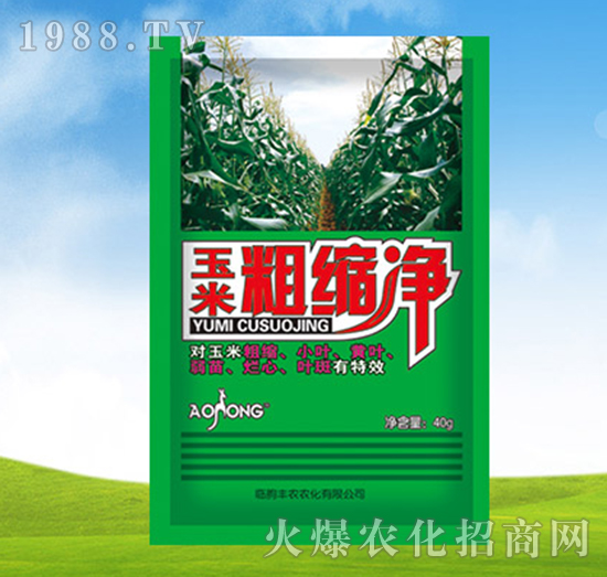 ���״ֿs��-�S�r�r��