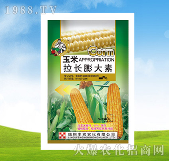 �������L�����-�S�r(n��ng)�r(n��ng)��