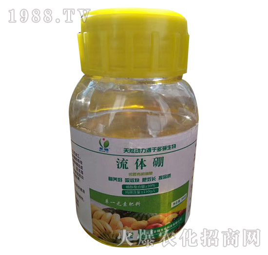 ���w��-���P����