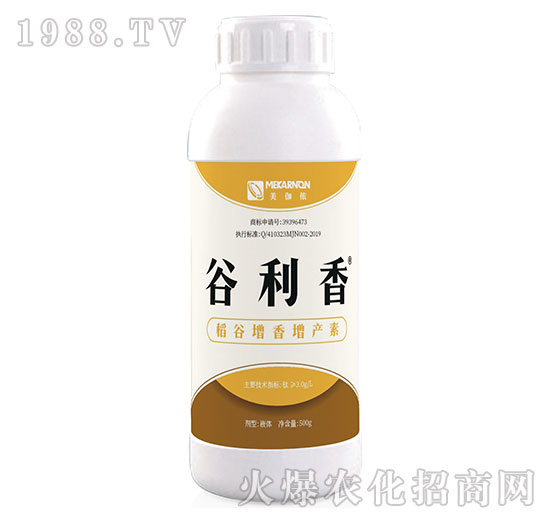 �����������a(ch��n)��-������-��٤�z