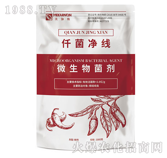 ΢�������-Ǫ������-��٤�z