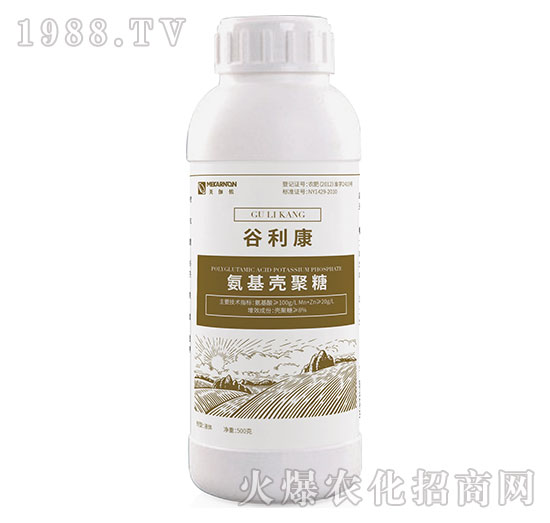 ����������-������-��٤�z