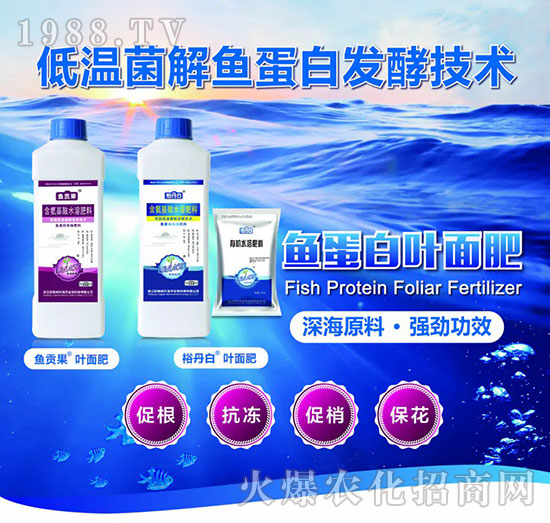 魚(yú)蛋白葉面肥-魚(yú)貢果+裕丹白-歐格納科