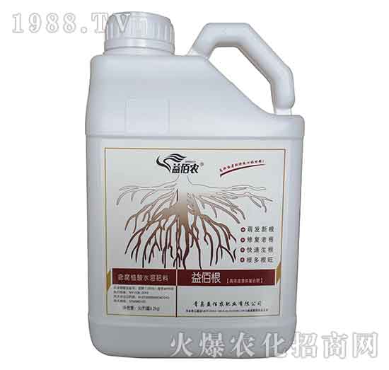 ��۸�-����r