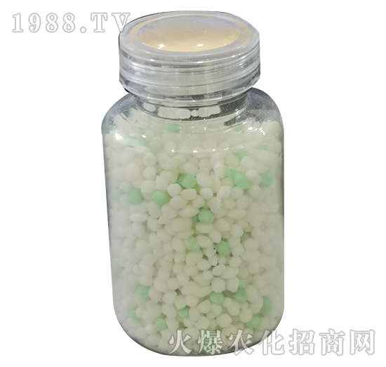 �V���\�F�i-���P����