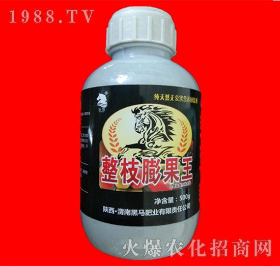 ��֦�����-���R�ʘI(y��)