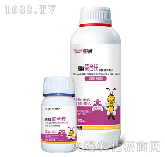 �Ǵ������V-�W���r�I(y��)