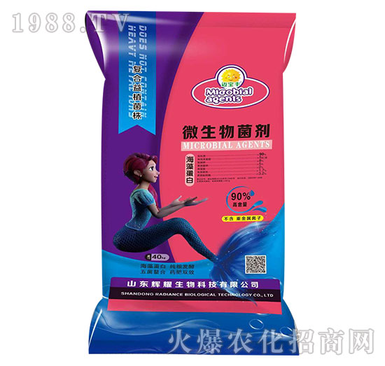 ���嵰��΢�������-�~���S-�xҫ����