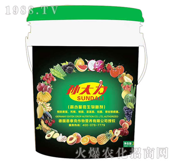 高含量微生物菌劑-孫大力-恩泰克