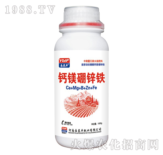 �}�V���\�F-���R�S