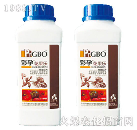 辣椒座果沖施型微生物菌劑-花果樂(lè)-彩孕-民德利華