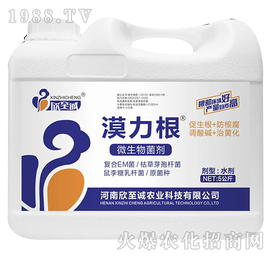 5����΢�������-Į����-�����\