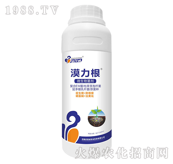 500ml΢�������-Į����-�����\(ch��ng)