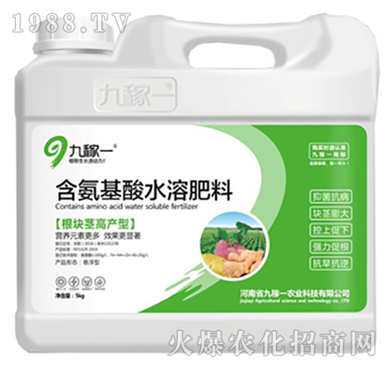 根塊莖高產(chǎn)型含氨基酸水溶肥料-九稼一