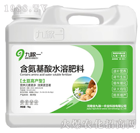 土豆高產(chǎn)型含氨基酸水溶肥料-九稼一
