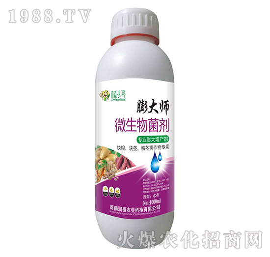 微生物菌劑-膨大師-潤植