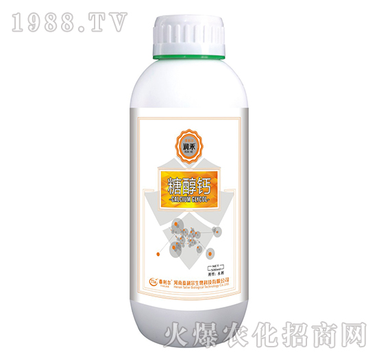 �Ǵ��}-����-̩����