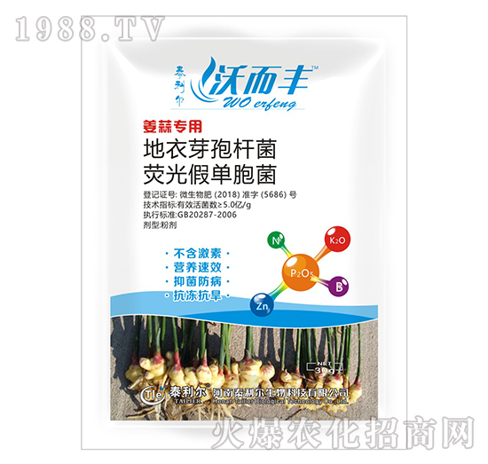 姜蒜專用熒光·地衣芽孢桿菌-沃而豐-泰利爾