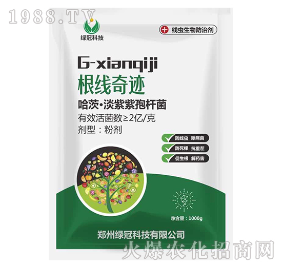 哈茨·淡紫紫孢桿菌-根線奇跡-綠冠