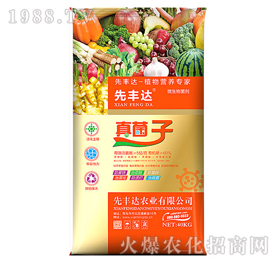 植物營(yíng)養(yǎng)專家-真菌子-先豐達(dá)