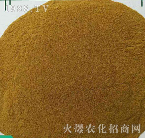 ��������Ԫ�أ����F�ͣ�-����