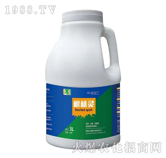 根植靈-實(shí)禾