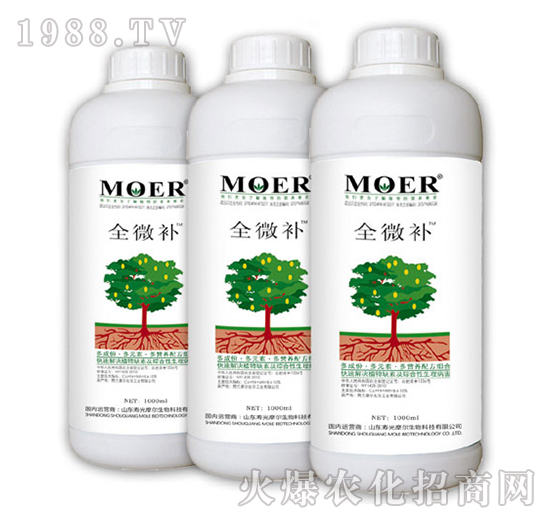 全微補-摩爾生物