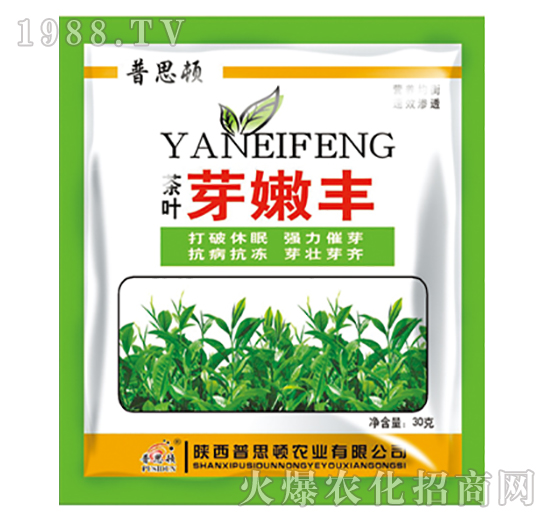 茶葉嫩芽豐-普思頓農(nóng)業(yè)